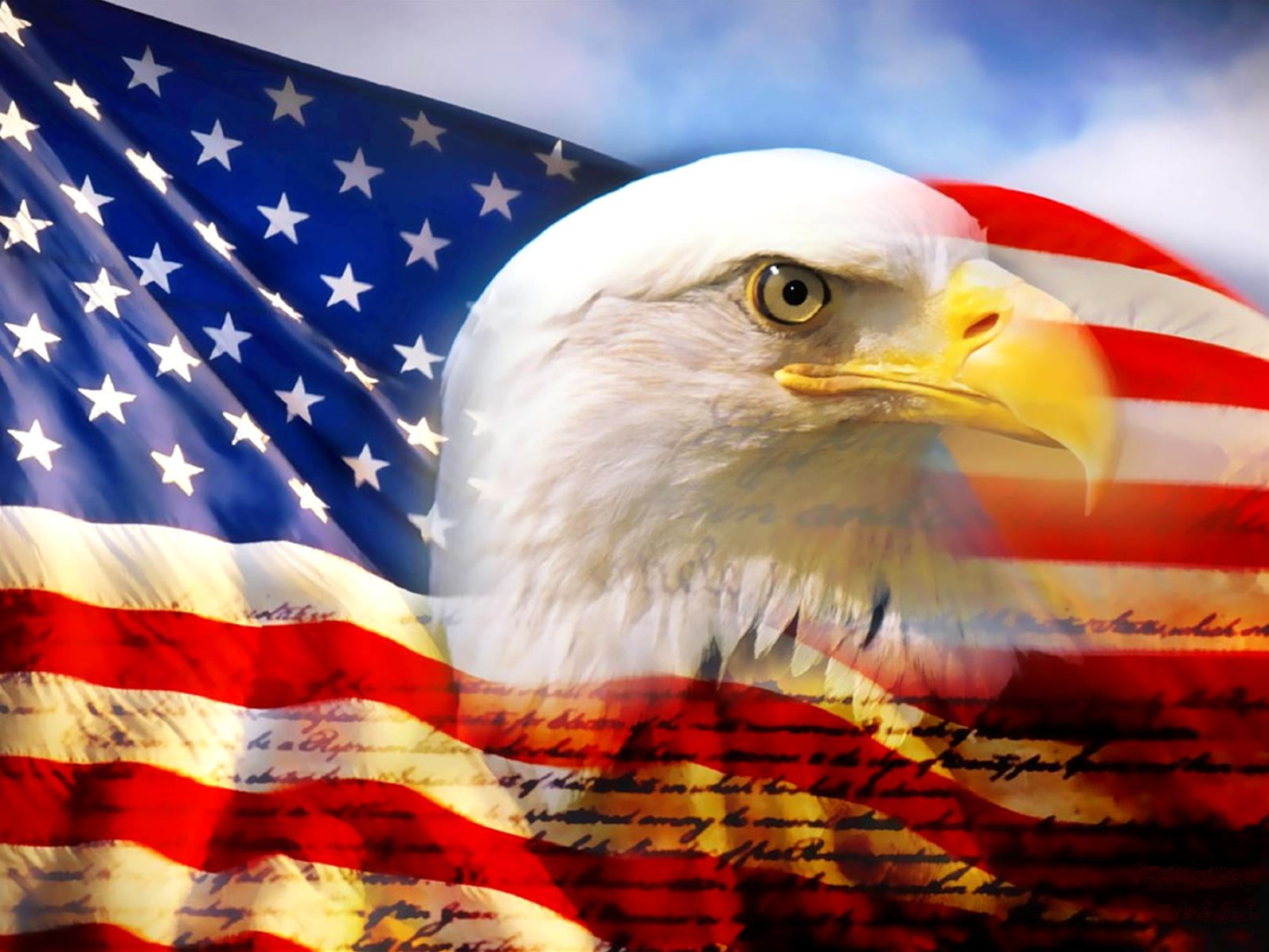 bald eagle head and american flag1
